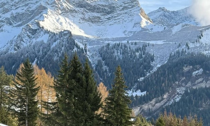 Gryon Apartment | 132.256 Elegant studio Alpe des Chaux