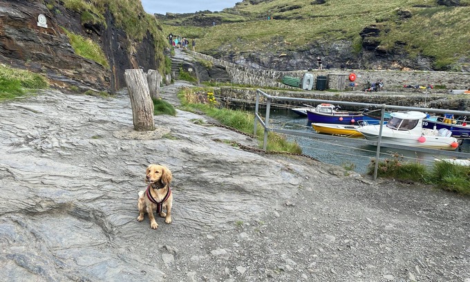 Boscastle Cottage | 2 bedroom cottage: private parking, by harbour, pubs. Boscastle - North Cornwall