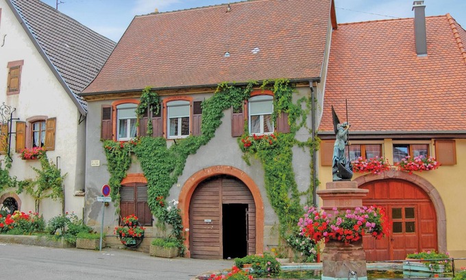Pfaffenheim House | 2 bedroom stunning home in Pfaffenheim