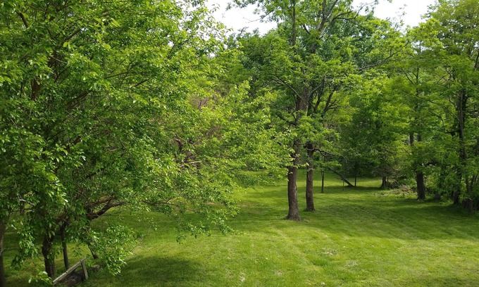 Fulda Cottage | 2-BR loft home, private lake for fishing/swimming, Tell City area rural estate