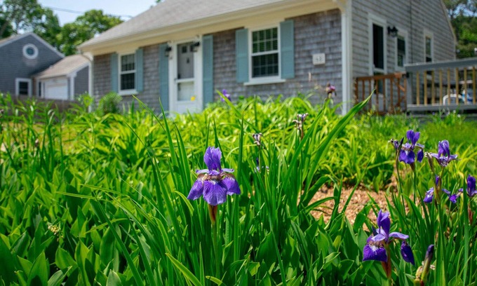 West Harwich House | 2 Mins. to Earle Road Beach Dog Welcome!