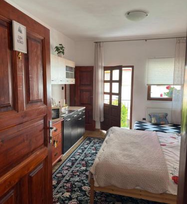 Trstena Apartment | 2- posteľová izba s kúpeľňou a kuchynkou RIŠKO v PENZION TRSTENÁ