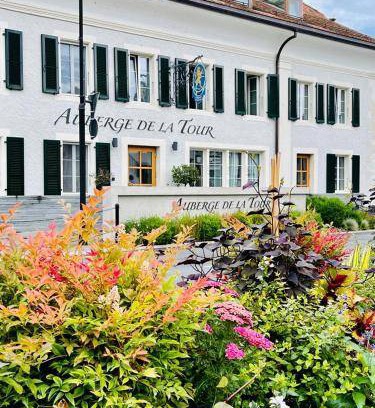 Trelex Hotel | 25 m² Hotel ∙ 3 guests