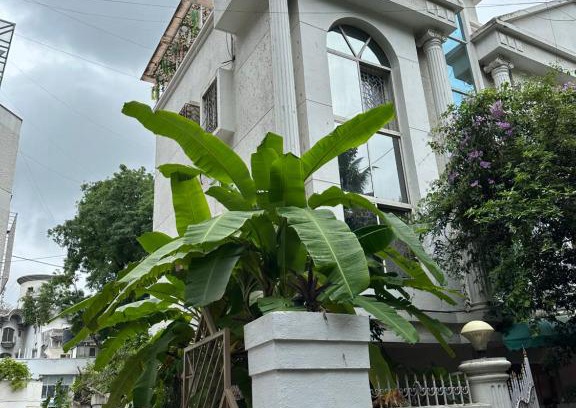 Meera Nagar House | 2BHK Peaceful Row House by Abhibha Stays in Koregaon Park