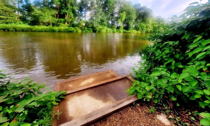 Summerville House | 3.5 Acres of Sunny, Scenic, Swim & Fun for Everyone!