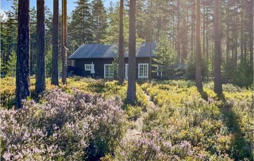 Nissedal House | 3 Bedroom Cozy Home In Treungen