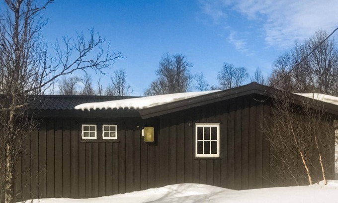 Nore og Uvdal House | 3 bedroom stunning home in Uvdal