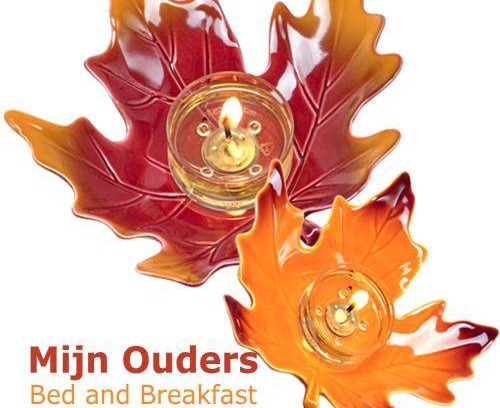 Municipality of Noordoostpolder Bed & Breakfast | 34 m² Bed and breakfast ∙ 2 guests