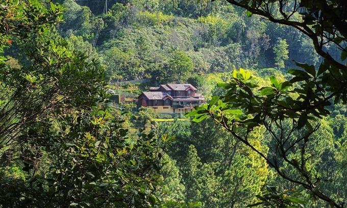 New Kingston Cottage | 4 Bedroom Cottage, Greenwhich, Blue Mountains