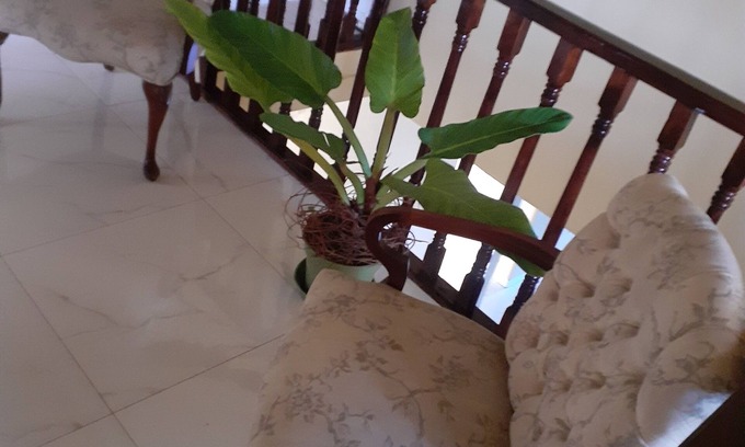 Boscobel House | 4 BEDROOM HOUSE