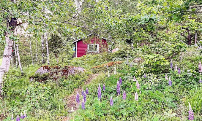 Sodersvik House | 4 person holiday home in Norrtälje-By Traum