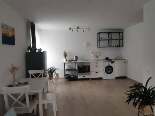 Panevezys county Apartment | 43 m² Apartment ∙ 1 bedroom ∙ 4 guests