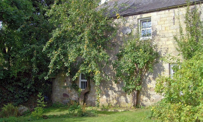 Byrness Cottage | 5 bedroom accommodation in Byrness Village, near Otterburn