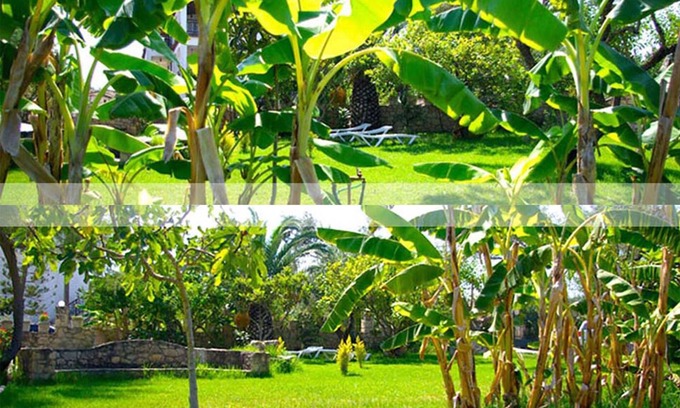Neromilos Apartment | 5 Ground floor studios and apartments with private front garden for your team