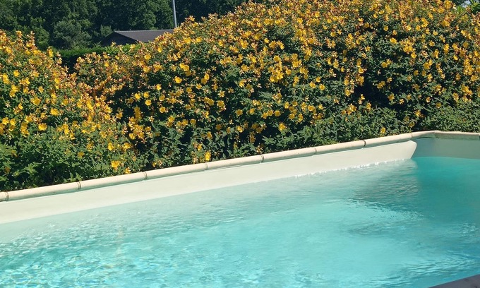 Prats-de-Carlux House | 5 min from Sarlat Gîte l'olivier with jacuzzi, ideal for 2/4 people
