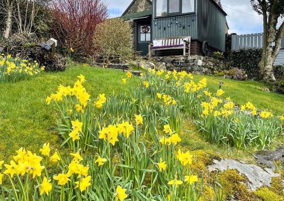 Snowdonia National Park Apartment | 5 Star Shepherds Hut in Betws y Coed with Mountain View