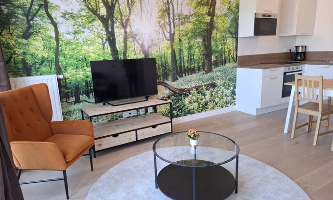 Outremeuse Apartment | 70 m² Apartment ∙ 1 bedroom ∙ 4 guests