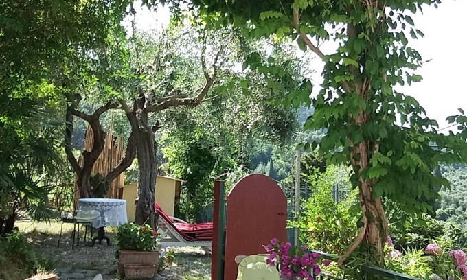Camaiore Apartment | 7km sea-Hilly-Strategic location-Surrounded by Nature Parks of Sea Alps Lake.