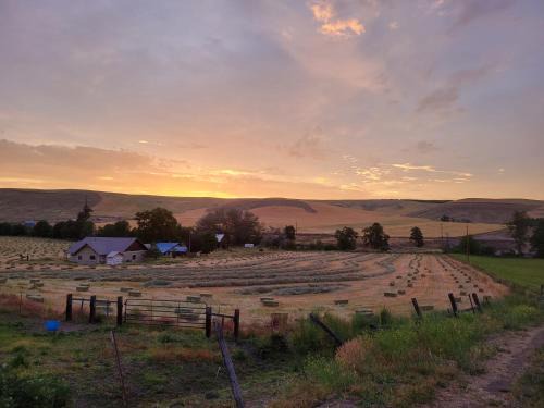South Cascades Area Bed & Breakfast | 8 Mile Farm Bed & Breakfast
