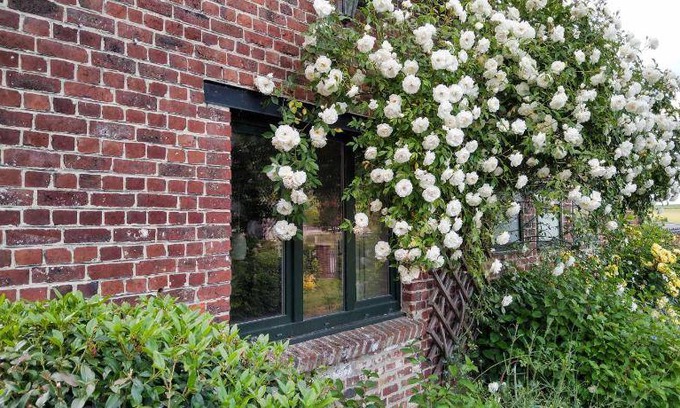 Leuze-en-Hainaut House | 85 m² House ∙ 3 bedrooms ∙ 6 guests