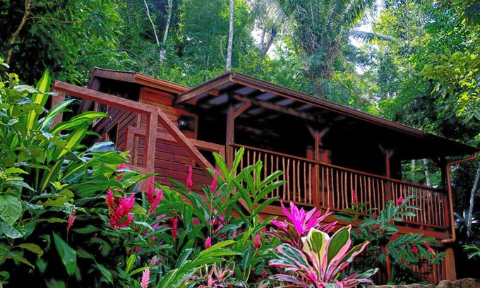 Macaw Bank House | $ 99 - $ 124 a night, Private, cozy, home rental -watch the howler monkeys !