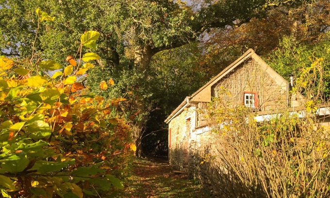 Mountrath House | A gardener's cottage tucked away in the corner of an old country house estate.
