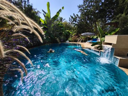 Politiko Villa | A historic STONE VILLA with private garden, terrace and private pool just for you