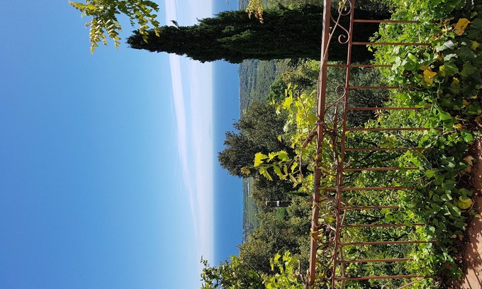 Santa-Maria-Poggio Villa | A house balcony of the Chataigneraie
