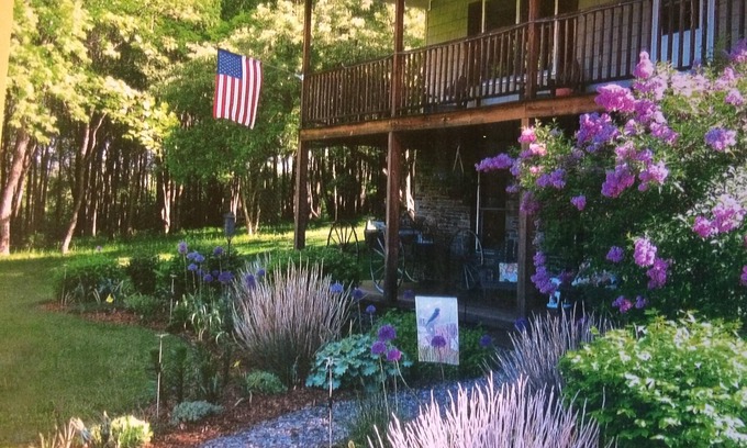 Hartwick Apartment | A perfect, quiet baseball rental in the woods near Cooperstown, NY