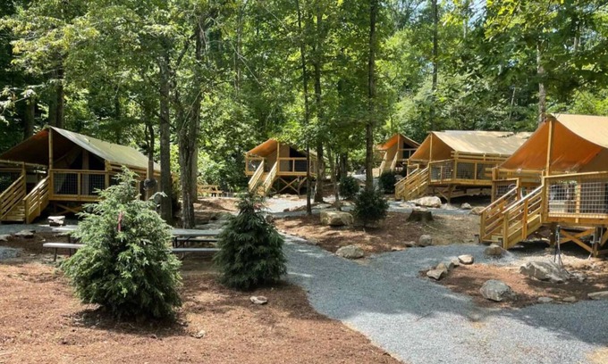 Saluda Cabin | A Place You'll Surely Enjoy! Short Drive to Little Bradley Falls, Pet-Friendly