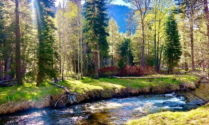 Al Tahoe House | A Quintessential River Cabin LX45