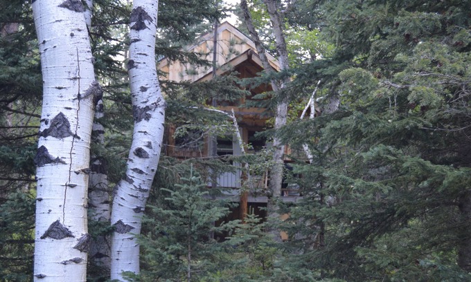 Deadwood Cabin | A remote cabin surrounded by Pine, Birch and Aspen trees, five miles to Deadwood