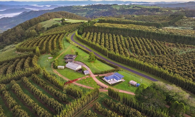 Comboyne House | A Wonderful Country Relax. Reconnect with nature.