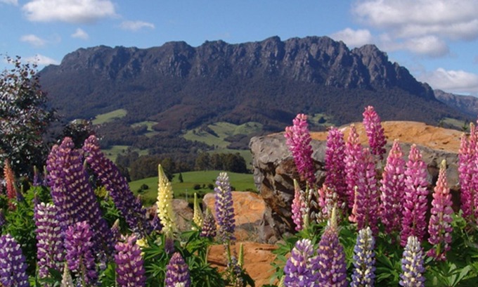 Promised Land Cottage | AAA Granary Accomm - Dads 3 bedroom Cottage