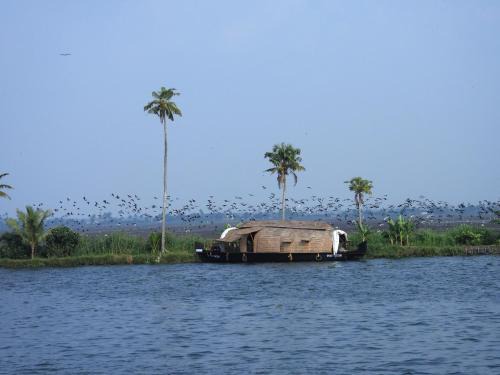 Kumarakom Boat Rental | Abad Premium House Boat