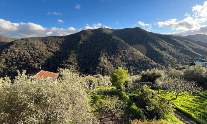 Casanova Lerrone House | [AC & Garden] Olive Grove Oasis