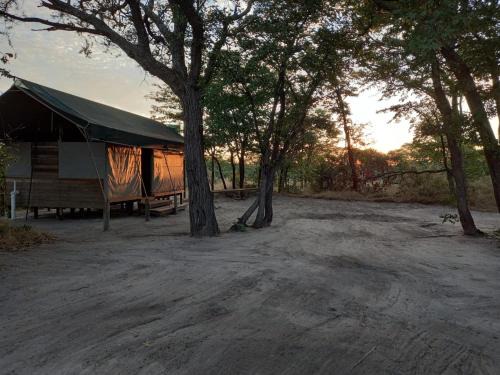 Maun Other | Acacia Camp