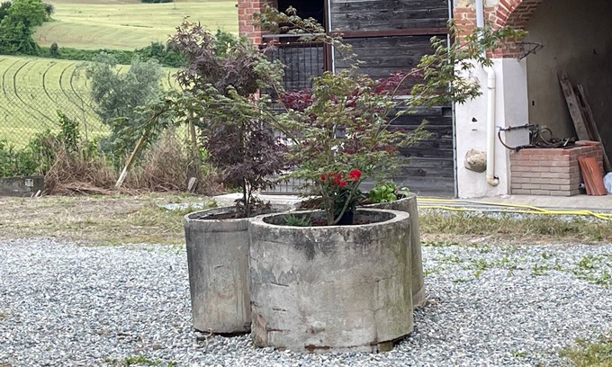 Moncalvo Bed & Breakfast | ACERO ROSSO