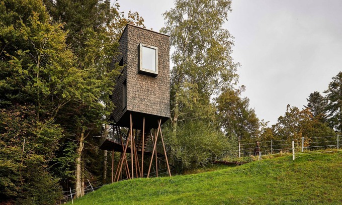 Sulzberg House | Adventure tree house, Baldauf family - Tree house