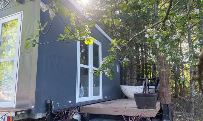 Hanmer Springs Cabin | Affordable & cosy alpine cabin - an ideal couples retreat with outdoor bath!