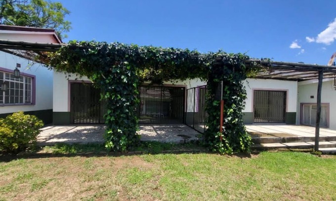 Mbabane Bed & Breakfast | African Violet