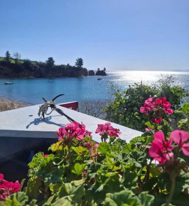 Chalkidiki Region Apartment | Agnanti Kotsikia