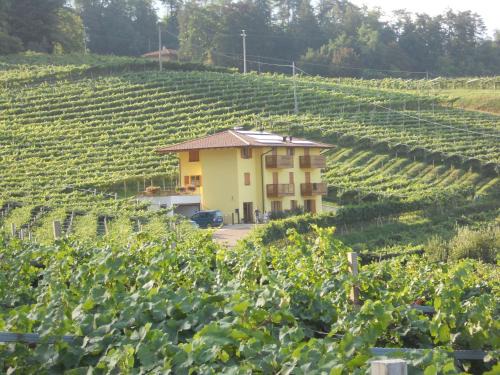 Martignano Bed & Breakfast | Agritur al Vigneto