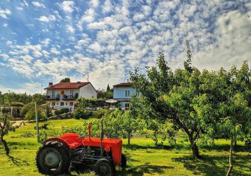 Moniga del Garda House | Agriturismo 30