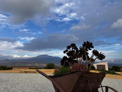 Centuripe Other | Agriturismo del Nonno