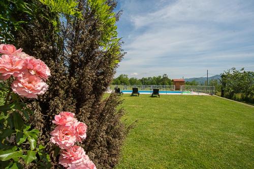 Mologno House | Agriturismo Il Musaccio