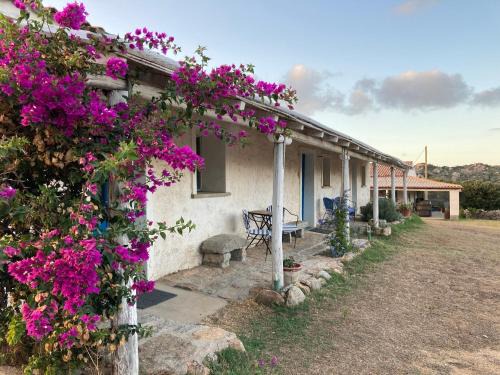Santa Teresa di Gallura House | Agriturismo La Tana di Lu Maccioni