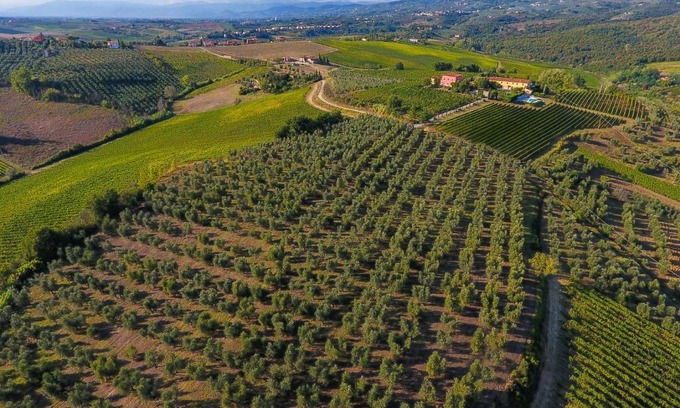 Vinci House | Agriturismo Luggiano
