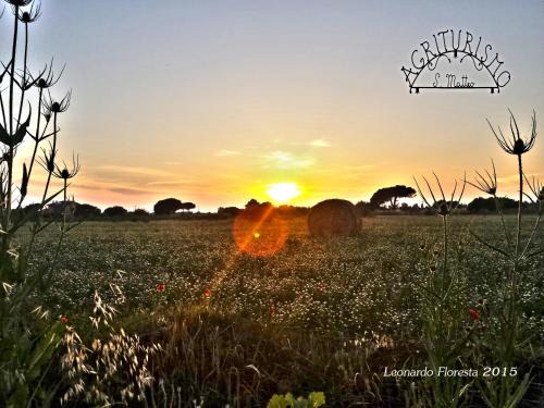 Tarquinia House | Agriturismo San Matteo