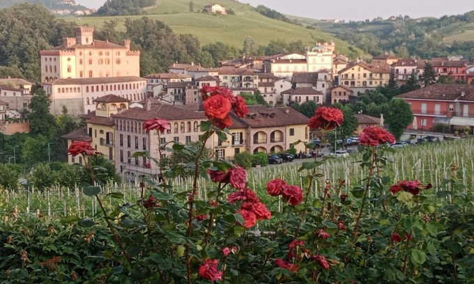 Barolo House | AL CIVICO 20 L'impero Del Sole!